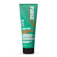 Fudge Clean Mint Shampoo Hĺbkovo čistiaci vlasový šampón