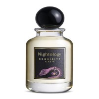 Nightology Exquisite Lily
