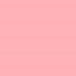 358 - PEARLY ROSE - Cestovná veľkosť