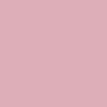 CHERRY BLOSSOM - Mini