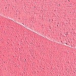 352 - Breakfast In Bed