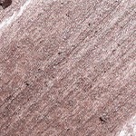 METALLIC TAUPE