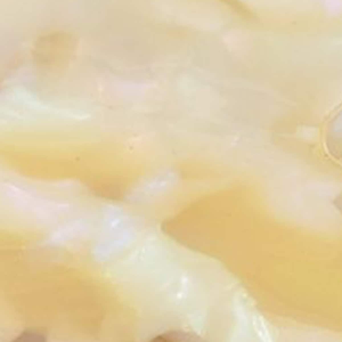 Egg Nog