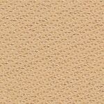 06 - SOFT IVORY/NEUTRAL