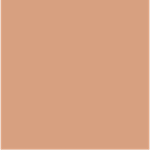 SUGAR BISCUIT - Mini